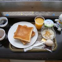 こんな内容です。値段の割にありがたいと思いました。