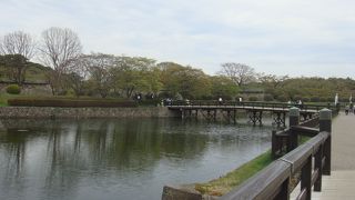 全体像を見るにはタワーから