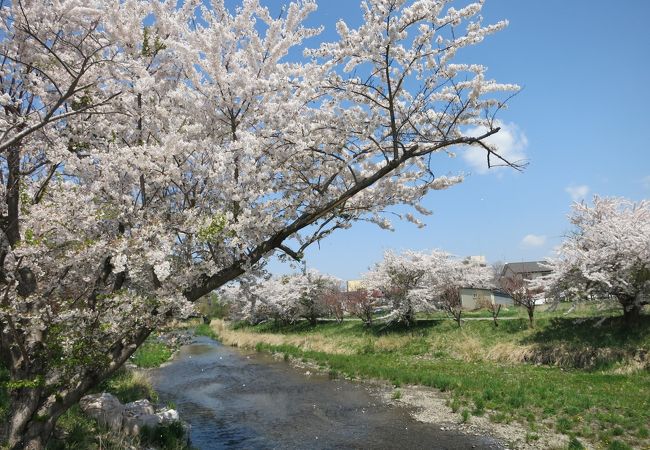 気門別川散策路 クチコミ アクセス 営業時間 伊達 フォートラベル