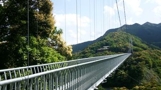 相方はリタイヤしました