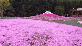 晴れていれば絶景が！