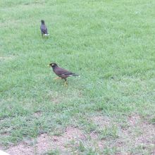 旧国会議事堂 (アートハウス) 