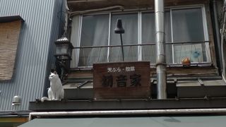 混雑を避けてもう一度行きたい。