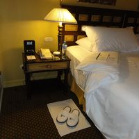 ベットカバーにもガウンにも刺繍でロゴマークが・・・