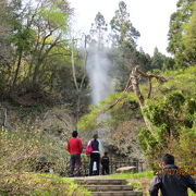 必ず見られる間欠泉