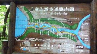 新緑がとてもきれいな渓谷でした