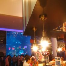 レジ終わりで振り返ると巨大水槽が目の前に