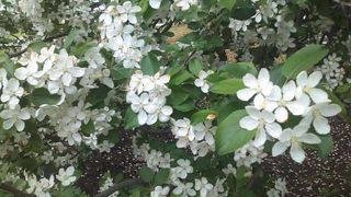 イベント会場として有名ですが・・・