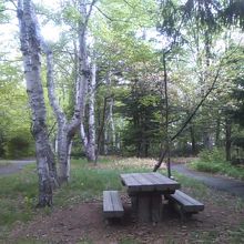 休憩用のいすやテーブルなども随所に設置されています