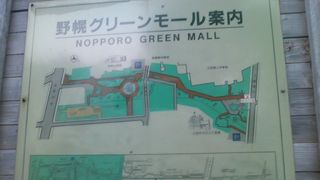 静かな散策を楽しめるエリアです