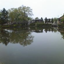 池のある公園内の様子