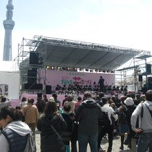 隅田公園桜まつり 