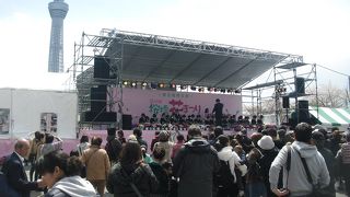 浅草側でのお祭りが盛大