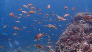 素朴なリゾート