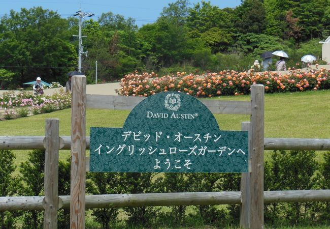 関西空港 泉佐野の公園 植物園 クチコミ人気ランキングtop5 フォートラベル 大阪