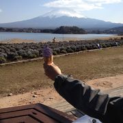 富士山を見ながらソフトクリーム！