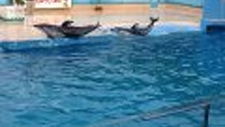 お正月は大盛況！