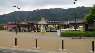 徳島道で一番大きなサービスエリア