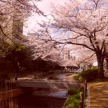 大横川親水公園 