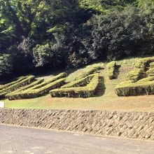 無料駐車場も完備。目の前には植木で丸山公園の文字。