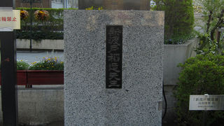 サケも遡上する川。