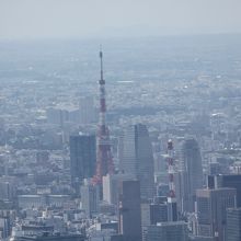 東京タワーが見下ろせます