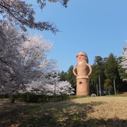 桜の季節に行くと最高の公園です。