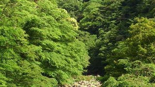 箱根の景勝を形成する河川。