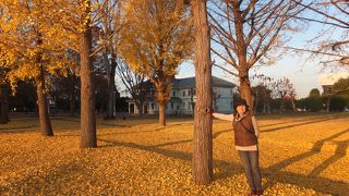 茨城県の明治村でしょうか