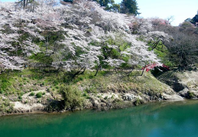 桜淵公園 クチコミ アクセス 営業時間 新城 フォートラベル 桜淵公園 クチコミ アクセス 営業時間 新城 フォートラベル