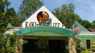 ボルネオの動物が間近に見れる