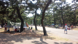 広い！浜寺公園