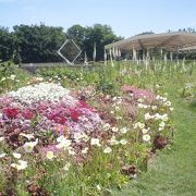 パリ郊外の広大な公園地域です。