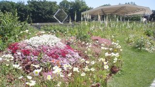 パリ郊外の広大な公園地域です。