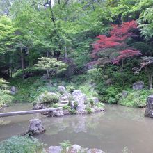 庭園　奥に小さな滝があります