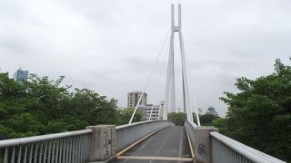 高い塔から多くのケーブルで吊られている綺麗な橋です