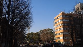 横浜の歴史を感じさせる大通り