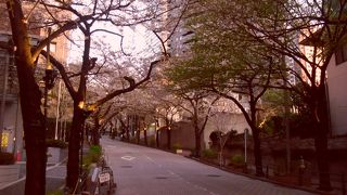 赤坂桜坂と並んで桜の名所