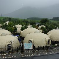 ユニークな外観