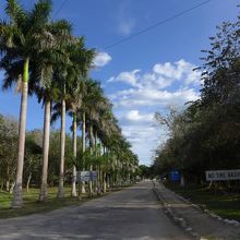 ウシュマルのバス停から遺跡のエントランスまでの道