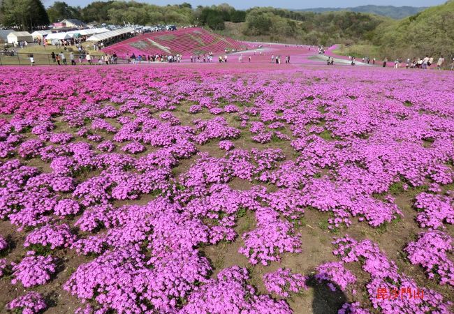 市貝町 伊許山キャンプ場