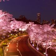 桜の季節がお薦めです。