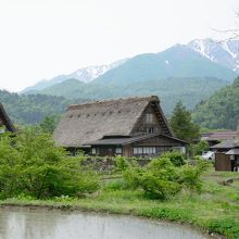 田んぼと合掌造り