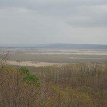 釧路湿原です、曇っていてちょっと残念です