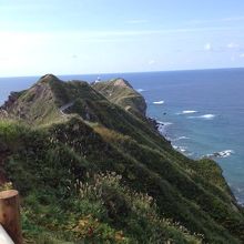 好天に恵まれてばっちり見えました。