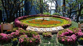 きれいな花時計・記念撮影スポット！