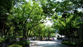 神戸市役所の海側（南側）にある公園