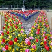 四季折々の花が咲く見どころ満載の名古屋市で最初に整備された公園