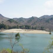 浅瀬に松の木がポツンと建っている光景