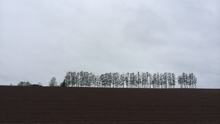 雨の日もまた素敵な風景。